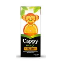 CAPPY PORTAKAL SUYU 200 ML