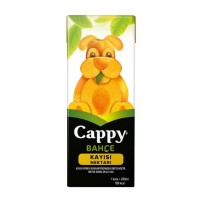 CAPPY KAYISI SUYU 200 ML