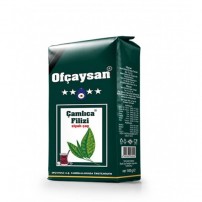 OFCAYSAN CAMLICA FILIZ 500 GR