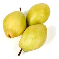 ARMUT SANTAMARIA.