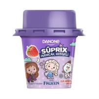 DANONE SUPRIX 90 GR