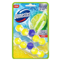 DOMESTOS WC BLOK 5-LI GUC 2-LI PKT LIMON
