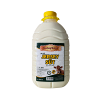 SARAYBEYI JERSEY CIG SUT 3000 ML