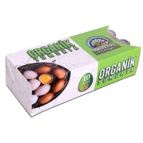 ORGANIK YUMURTA 10 LU