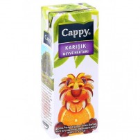 CAPPY KARISIK MEVYE SUYU 200 ML.
