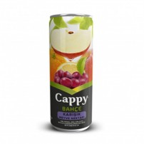 CAPPY KARISIK MEVYE SUYU 330 ML KUTU.