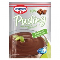 DR.OETKER PUDING 100 GR CIK.ANT. FISTKLI