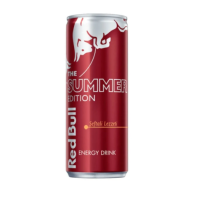 REDBULL SUMMER EDITION 250 ML