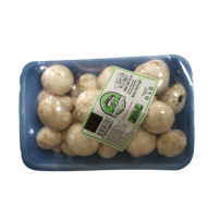 TAZE KULTUR MANTARI 400 GR