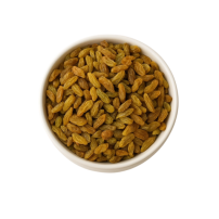 OZCIGDEM GOLGE KURUSU UZUM KG