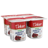 EKER HURMA CHIA PROBIYOTIK YOGURT 4X100 GR