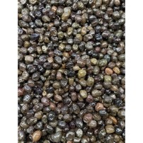 MARMARAY STAR SIYAH ZEYTIN KG 231-260 KB