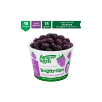 DOKURU ORIGINAL KURUTULMUS BOGURTLEN 15 GR