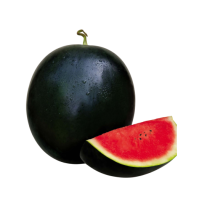 SIYAH KARPUZ.