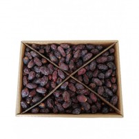 OZCIGDEM HURMA KUDUS